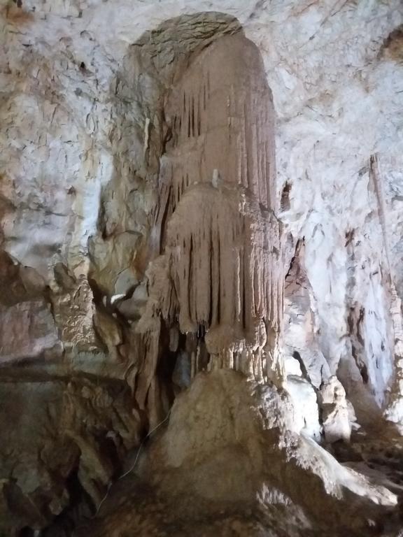 Pensiunea Piatra Graitoare Vartop Extérieur photo