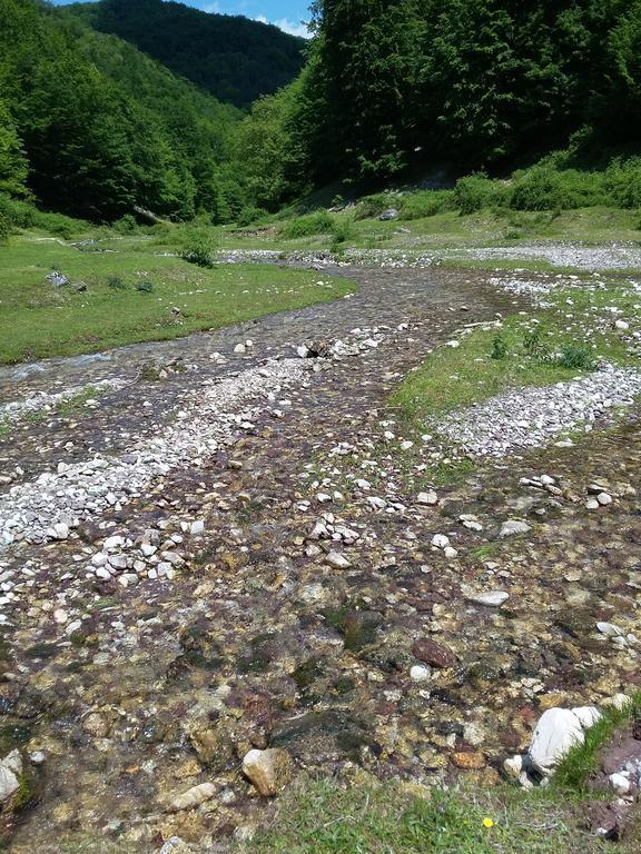 Pensiunea Piatra Graitoare Vartop Extérieur photo