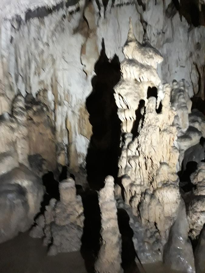 Pensiunea Piatra Graitoare Vartop Extérieur photo