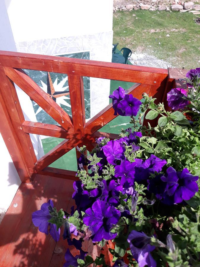 Pensiunea Piatra Graitoare Vartop Extérieur photo